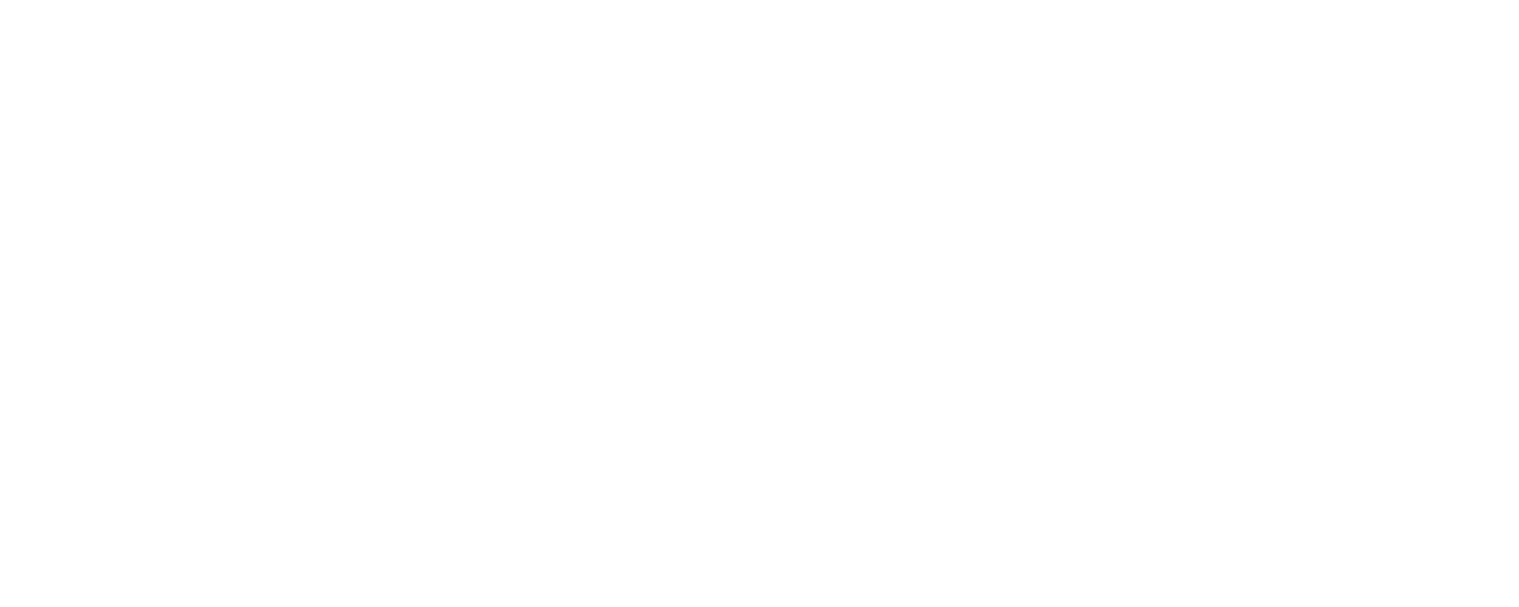 STATOB Logo